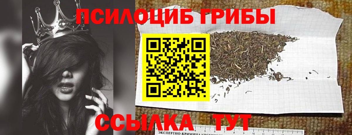 Мирный  Галлюциногенные грибы Psilocybe  Вход с VPN 